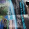 Informații interesante despre o lume minunată - supliment ARBORELE LUMII