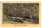 AD 822 C. P. VECHE - KELLEMES HUSVETI UNNEPEKET -CIRCULATA 1958 -UNGARIA