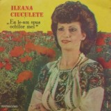 Ileana Ciuculete &ndash; Eu le-am spus ochilor mei