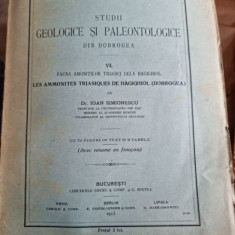 Ioan Simionescu - Studii geologice si paleontologice din Dobrogea. Vol. VI. Fauna Amonitilor trisici de la Hagighiol.