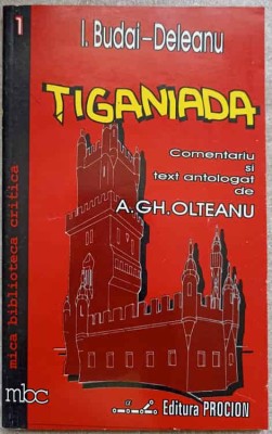 TIGANIADA-ION BUDAI DELEANU-140719 foto