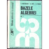 BAZELE ALGEBREI VOL.1-C. NASTASESCU, C. NITA, C. VRACIU-307805