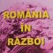 ROMANIA IN RAZBOI-OLTEA RASCANU GRAMATICU-252614