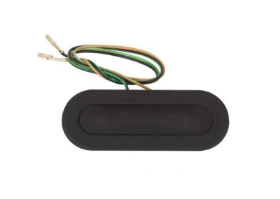 Maner haion cu comutator Chrysler Voyager (RG/RS), 01.2000-01.2008 foto