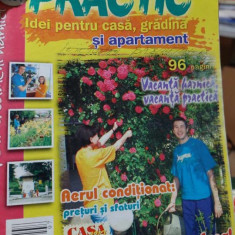 revista PRACTIC IDEI pentru casă, grădină și apartament - iulie 2004