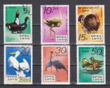 A12 S7 6 - Timbre foarte vechi - Coreea - pasari 1979