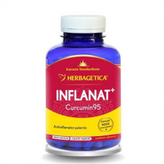Inflanat+ Curcumin 95 Herbagetica 120cps