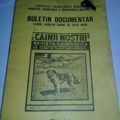 Buletin documentar.Clubul raselor canine de talie mare,nr. 4,1938,As.CHINOLOGICA