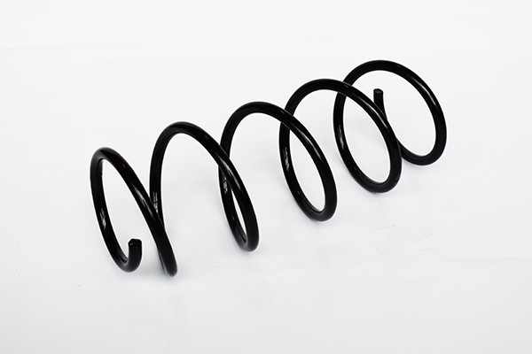 Arc Suspensie Fata 65942 SR.092