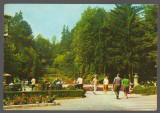CPIB 19085 CARTE POSTALA - GOVORA , VEDERE DIN PARC