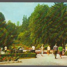 CPIB 19085 CARTE POSTALA - GOVORA , VEDERE DIN PARC