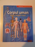 CORPUL UMAN , ORGANE , SISTEME , FUNCTII