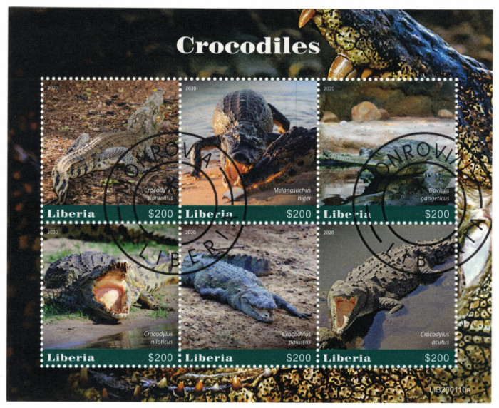 LIBERIA 2021 - Fauna, Crocodili / colita noua