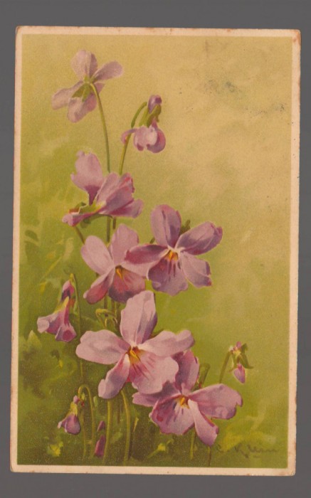 CPIB 20851 - CARTE POSTALA, FELICITARE - MEISSNER &amp; BUCH, LEIPZIG, 1914