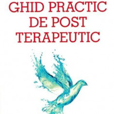 Ghid practic de post terapeutic - Paperback brosat - Francoise Wilhelmi de Toledo, Hubert Hohler - Philobia