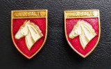 2 insigne Jud. Balti