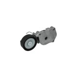 Intinzator curea MINI MINI Cabriolet R52 DAYCO APV2478