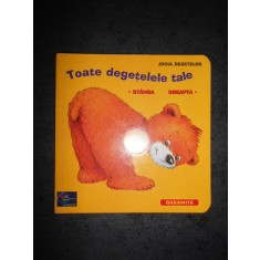 JOCUL DEGETELOR. TOATE DEGETELELE TALE. STANGA. DREAPTA (2002, gradinita)