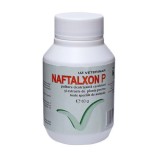 PULBERE CICATRIZANTA NAFTALXON 80G