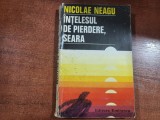 Intelesul de pierdere,seara de Nicolae Neagu