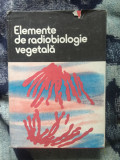 A8 Elemente de radiobiologie vegetala - Coordonator Corneanu Gabriel