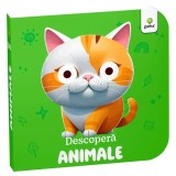 Descopera Animale, GAMA, ilustratii color, 1-3 ani