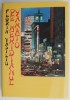 Pe meridianul Yamato - Florin Vasiliu - Carte de calatorie