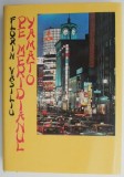 Pe meridianul Yamato - Florin Vasiliu - Carte de calatorie
