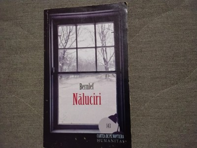 Naluciri de Bernlef (6) foto