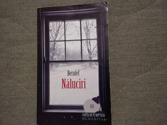 Naluciri de Bernlef (6)