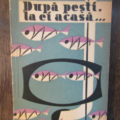 DUPA PESTI, LA EI ACASA-F.BRANDRUP