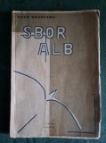Sbor alb- Radu Boureanu, princeps, autograf