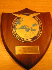 D16 16 - Placheta - tematica marina militara - fortele aliate Europa de sud