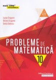 Cumpara ieftin Probleme de matematica. Clasa 10/Lucian Dragomir, Adriana Dragomir, Ovidiu Badescu