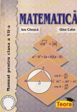 Ion Chesca, Gina Caba - Matematica. Manual pentru clasa a VII-a