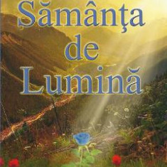 Samanta de lumina - Pavel Corut