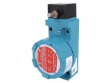 Limitator cursă fără manetă IP67 10A 600VAC