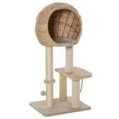 Cauti protectie gheare pt pisici? Vezi oferta pe Okazii.ro