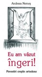 Eu am vazut ingeri! - Ortodoxia