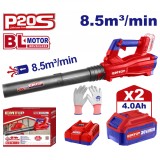 Cumpara ieftin Suflanta EMTOP ELAB204282, Motor Fara Perii (Brushless), 8.5m&sup3;/min, Viteza Max 144 km/h, 2 Acumulatori 4.0Ah, Control Viteza Variabil, Manusi si Incar