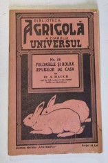 FOLOASELE SI BOLILE IEPURILOR DE CASA de A. MAUCH - BIBLIOTECA AGRICOLA A ZIARULUI UNIVERSUL NR. 33 , 1942 , PREZINTA HALOURI DE APA foto