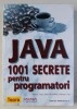 JAVA - 1001 SECRETE PENTRU PROGRAMATORI de MARK C. CHAN ...ANTHONY F. IASI , 2000