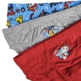 Set Chiloti Multicolor Paw Patrol pentru Copii - 3 perechi, CMCLASS