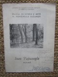 CATALOG DE EXPOZITIE - IOAN PAPAZOGLU , PICTURA