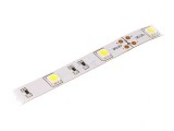 Bandă LED Alb Rece 12V 30 LED/m IP20