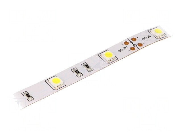 Bandă LED Alb Rece 12V 30 LED/m IP20