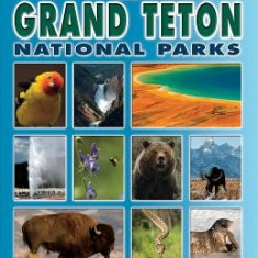 The Field Guide to Yellowstone and Grand Teton National Parks