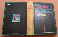 Anatomia si Fiziologia Omului - I.C. Voiculescu, I.C. Petricu foto