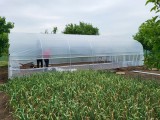 Solar profesional din teava zincata TZ 5/10 m / 2.7m inaltime