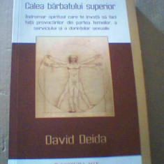 David Deida - CALEA BARBATULUI SUPERIOR ( editura Mix, 2022 )